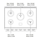 AGA 36-inch Mercury Induction Range with True European Twin Fan Convection AMC36IN-OYS IMAGE 3