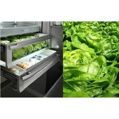 Fhiaba 30-inch, 15.7 cu. ft. Bottom Freezer Refrigerator with Ice and Water G7491TGT6IU IMAGE 2