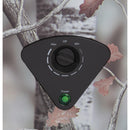 GE 7 cu. ft. Chest Freezer FCM7CKCD IMAGE 5